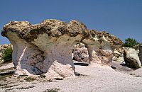 Каменни гъби край Бели Пласт